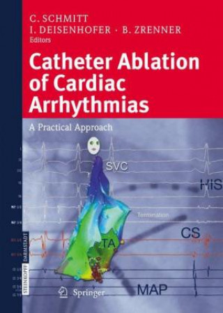 Knjiga Catheter Ablation of Cardiac Arrhythmias I. Deisenhofer