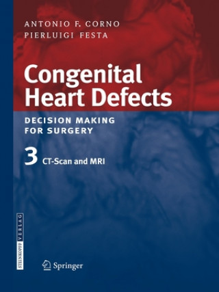 Könyv Congenital Heart Defects. Decision Making for Surgery Antonio F. Corno