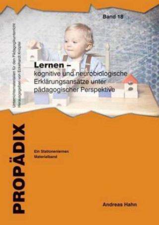 Kniha Lernen - kognitive und neurobiologische Erklärungsansätze unter pädagogischer Perspektive Andreas Hahn