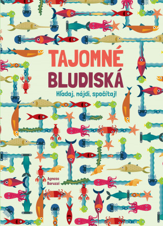 Buch Tajomné bludiská Agnese Baruzzi