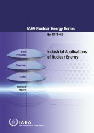 Könyv Industrial Applications of Nuclear Energy International Atomic Energy Agency