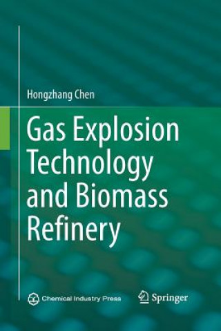 Könyv Gas Explosion Technology and Biomass Refinery Hongzhang Chen