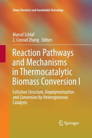 Knjiga Reaction Pathways and Mechanisms in Thermocatalytic Biomass Conversion I Marcel Schlaf