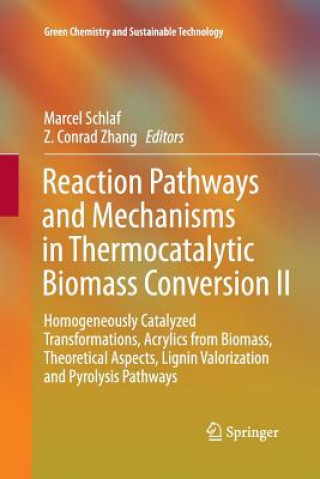 Buch Reaction Pathways and Mechanisms in Thermocatalytic Biomass Conversion II Marcel Schlaf