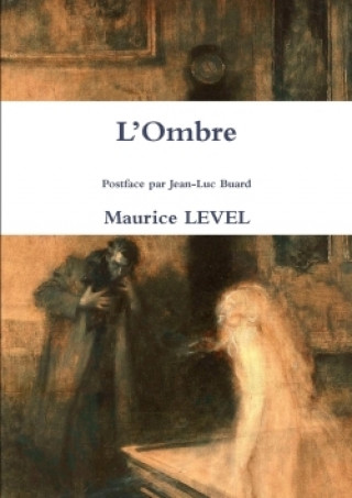 Livre L'OMBRE POSTFACE PAR JEAN-LUC BUARD MAURICE LEVEL