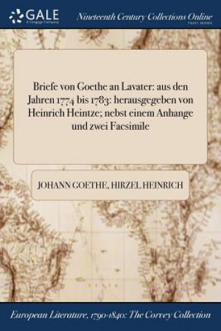 Könyv Briefe von Goethe an Lavater JOHANN GOETHE