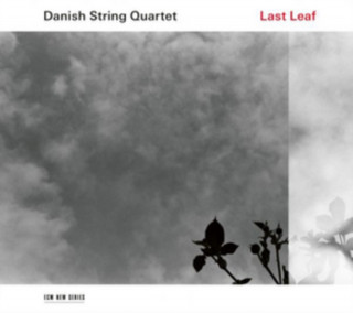 Audio Last Leaf Danish String Quartet