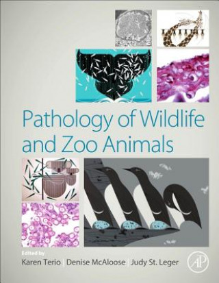 Книга Pathology of Wildlife and Zoo Animals Karen A. Terio
