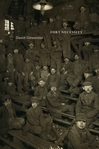 Boek Fort Necessity David Gewanter