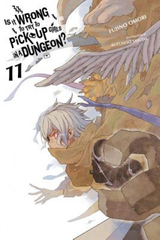 Книга Is It Wrong to Try to Pick Up Girls in a Dungeon?, Vol. 11 (light novel) Fujino Omori