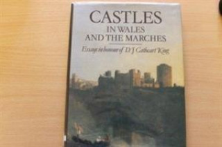 Livre Castles in Wales and the Marches 