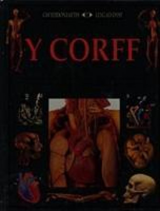 Könyv Y Corff Cynthia Saunders Davies