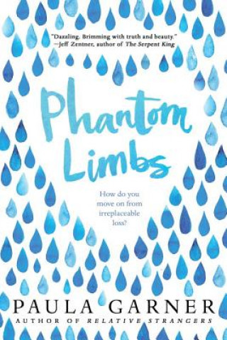 Boek Phantom Limbs Paula Garner