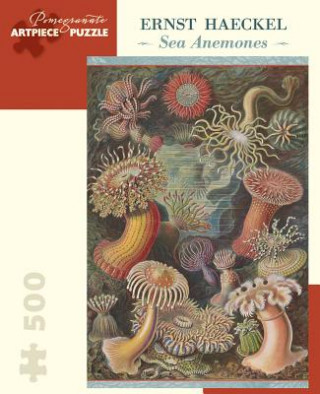 Kniha Ernst Haeckel: Sea Anemones 500-Piece Jigsaw Puzzle Ernst Haeckel