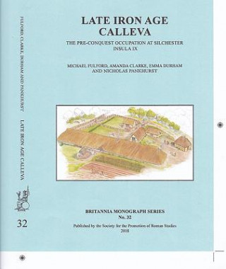 Carte Late Iron Age Calleva Michael Fulford