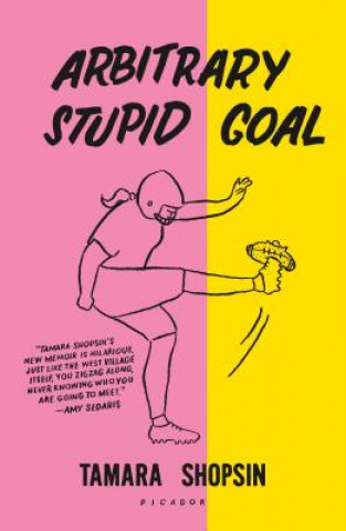 Kniha Arbitrary Stupid Goal Tamara Shopsin