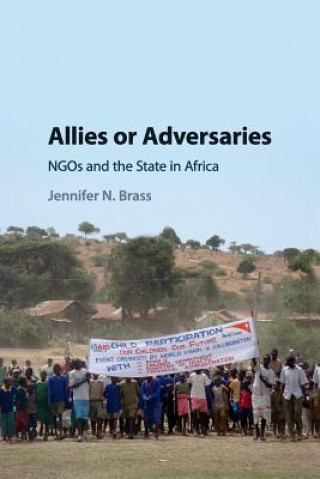 Book Allies or Adversaries Jennifer N. Brass