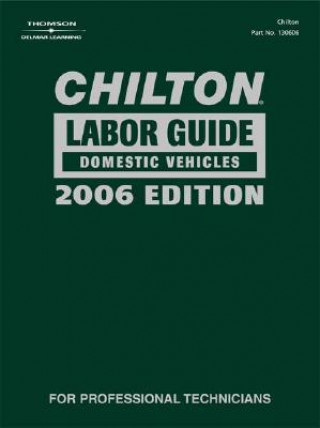 Kniha Chilton 2006 Domestic Labor Guide Manual Chilton Automotive Books