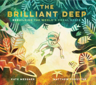 Kniha Brilliant Deep Kate Messner