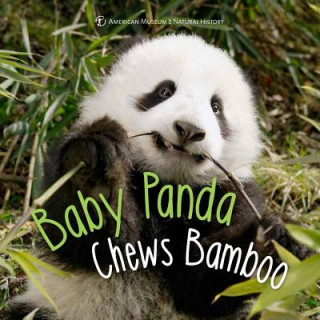 Carte Baby Panda Chews Bamboo Ben Richmond