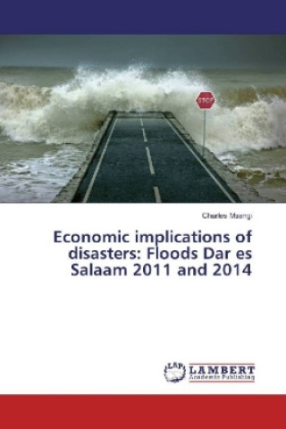 Könyv Economic implications of disasters: Floods Dar es Salaam 2011 and 2014 Charles Msangi