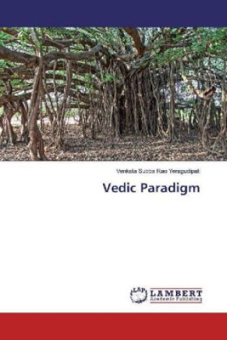 Knjiga Vedic Paradigm Venkata Subba Rao Yeragudipati