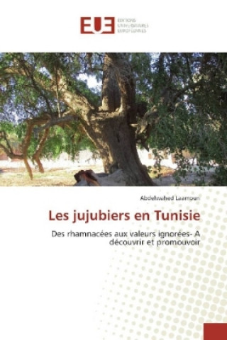 Kniha Les jujubiers en Tunisie Abdelwahed Laamouri