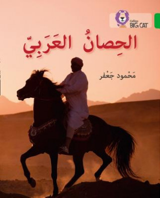 Kniha Arabian Horse Mahmoud Gaafar
