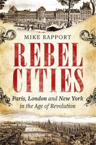 Kniha Rebel Cities Mike Rapport