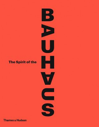 Kniha Spirit of the Bauhaus Nicholas Fox Weber