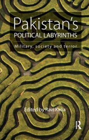 Kniha Pakistan's Political Labyrinths 
