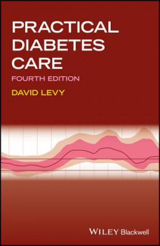 Carte Practical Diabetes Care 4e DAVID LEVY