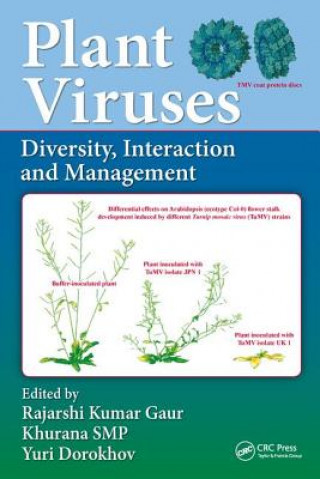 Kniha Plant Viruses Rajarshi Kumar Gaur