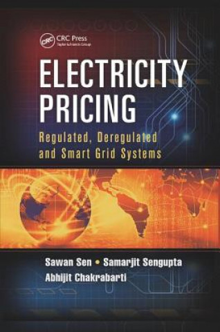 Könyv Electricity Pricing SEN