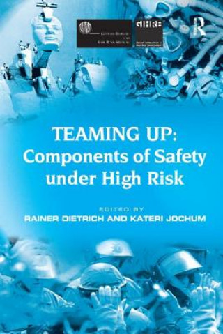 Book Teaming Up: Components of Safety Under High Risk JOCHUM