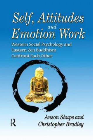 Könyv Self, Attitudes, and Emotion Work BRADLEY