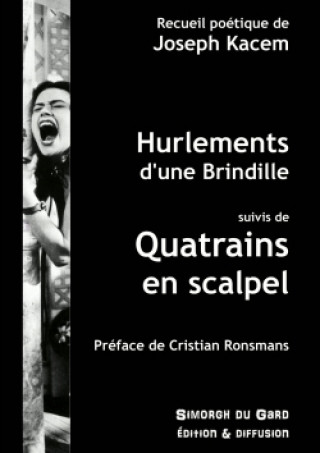 Knjiga HURLEMENTS D'UNE BRINDILLE - QUATRAINS E JOSEPH KACEM
