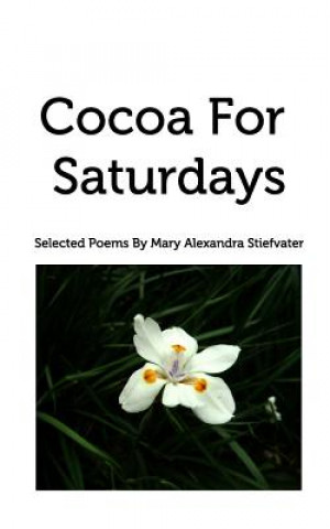 Kniha Cocoa For Saturdays MARY ALE STIEFVATER