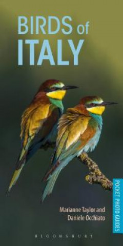 Книга Birds of Italy Marianne Taylor