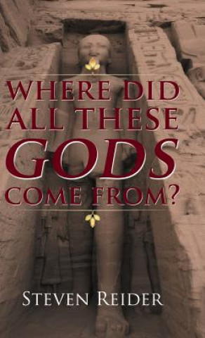 Buch Where Did All These Gods Come From? STEVEN REIDER