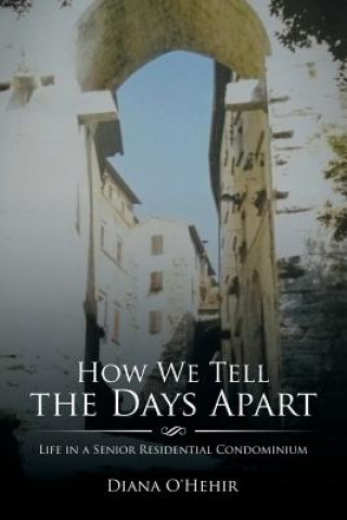 Buch How We Tell the Days Apart DIANA O'HEHIR