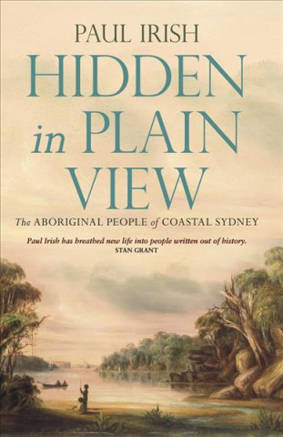 Knjiga Hidden in Plain View Paul Irish