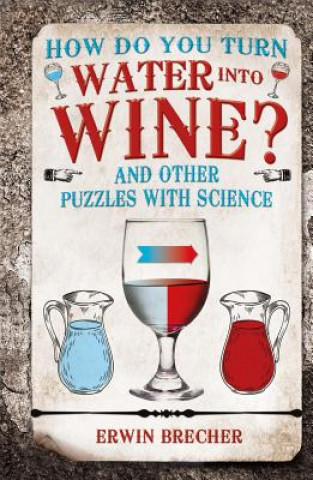Kniha How Do You Turn Water into Wine? Erwin Brecher