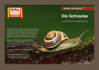 Hra/Hračka Die Schnecke / Kamishibai Bildkarten 