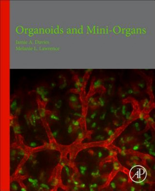 Kniha Organoids and Mini-Organs Jamie Davies
