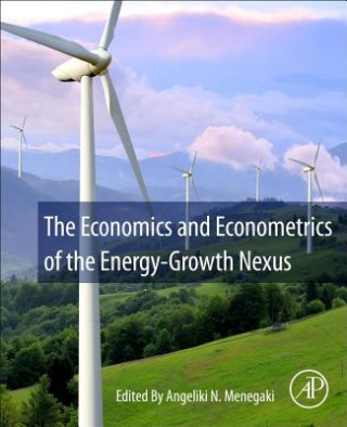 Książka Economics and Econometrics of the Energy-Growth Nexus Angeliki Menegaki