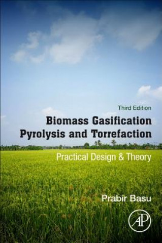 Kniha Biomass Gasification, Pyrolysis and Torrefaction Prabir Basu