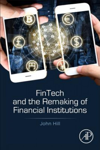 Könyv Fintech and the Remaking of Financial Institutions John Hill