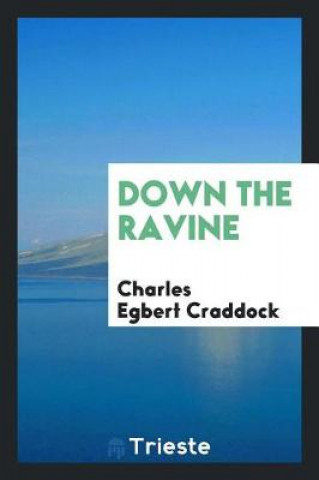 Carte Down the Ravine Charles Egbert Craddock