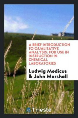 Książka Brief Introduction to Qualitative Analysis Ludwig Medicus